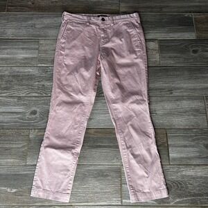 Express Mens Skinny Fit Garment Dyed Stretch‎ Pants Dusty Rose Size 29x30